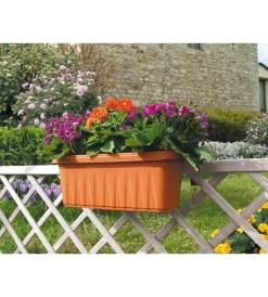 Online Fioriera da balcone "rondine" terracotta 50 cm Coltivazione E Cura