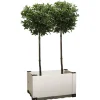 Garofalo Coltivazione E Cura|Fioriera da esterno "florì evo 80", 82,5x42,5x38 cm -