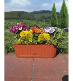 Online Fioriera etika cm 38 c/sottovaso terracotta Coltivazione E Cura