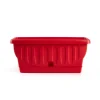 Fioriera natura cm 30 rosso corallo Coltivazione E Cura