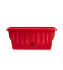 Fioriera natura cm 30 rosso corallo Coltivazione E Cura