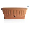 Bama Coltivazione E Cura|Fioriera natura cm. 50 terracotta