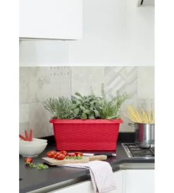 Bama Coltivazione E Cura|Fioriera paglia cm 50 rosso corallo