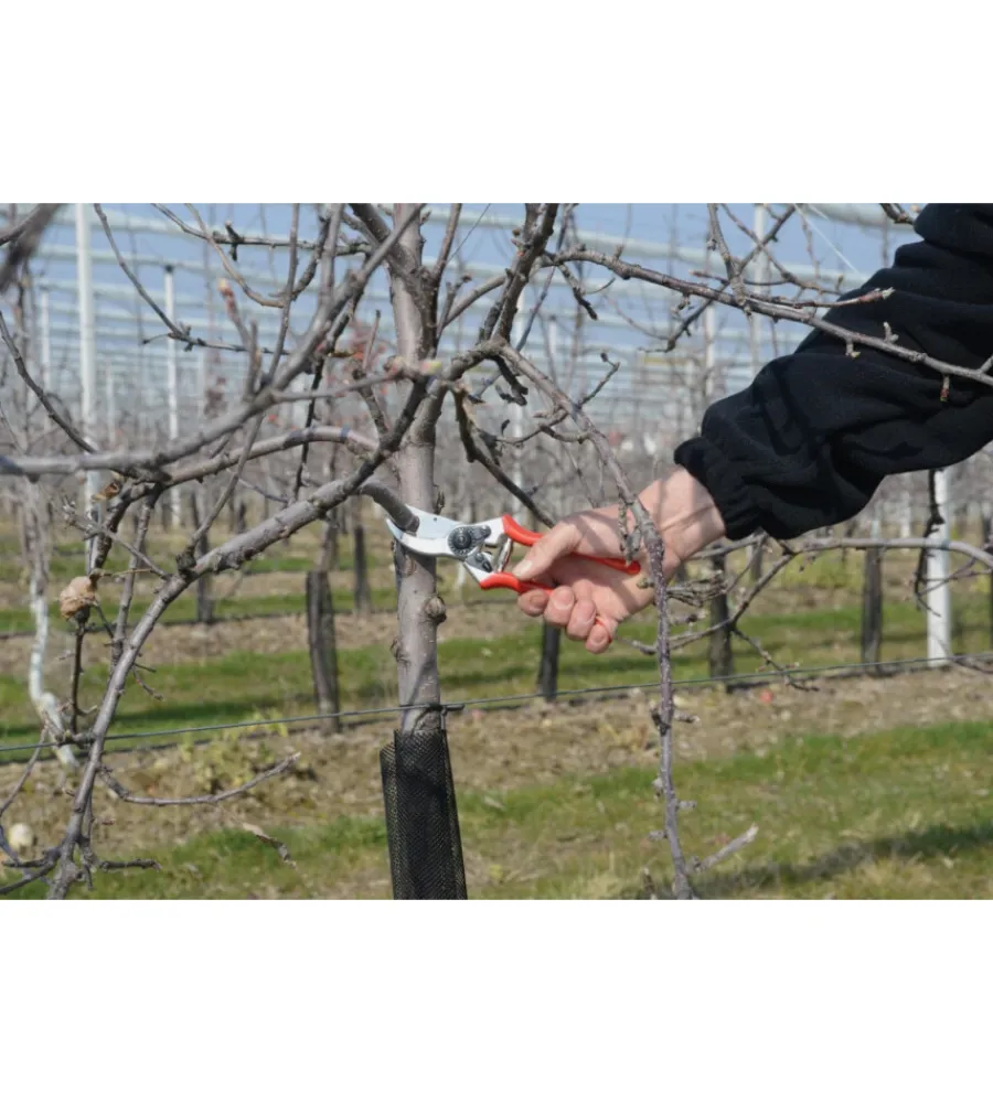 Attrezzatura Giardinaggio- Forbice cesoia da potatura felco 2