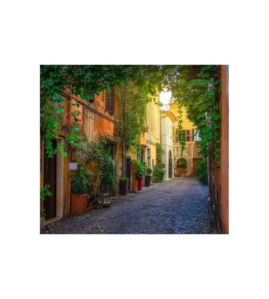 Decorazione Pareti- Fotomurale adesivo "trastevere" in pvc, 312x280 cm