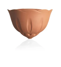 Outlet Gerla natura terracotta Coltivazione E Cura