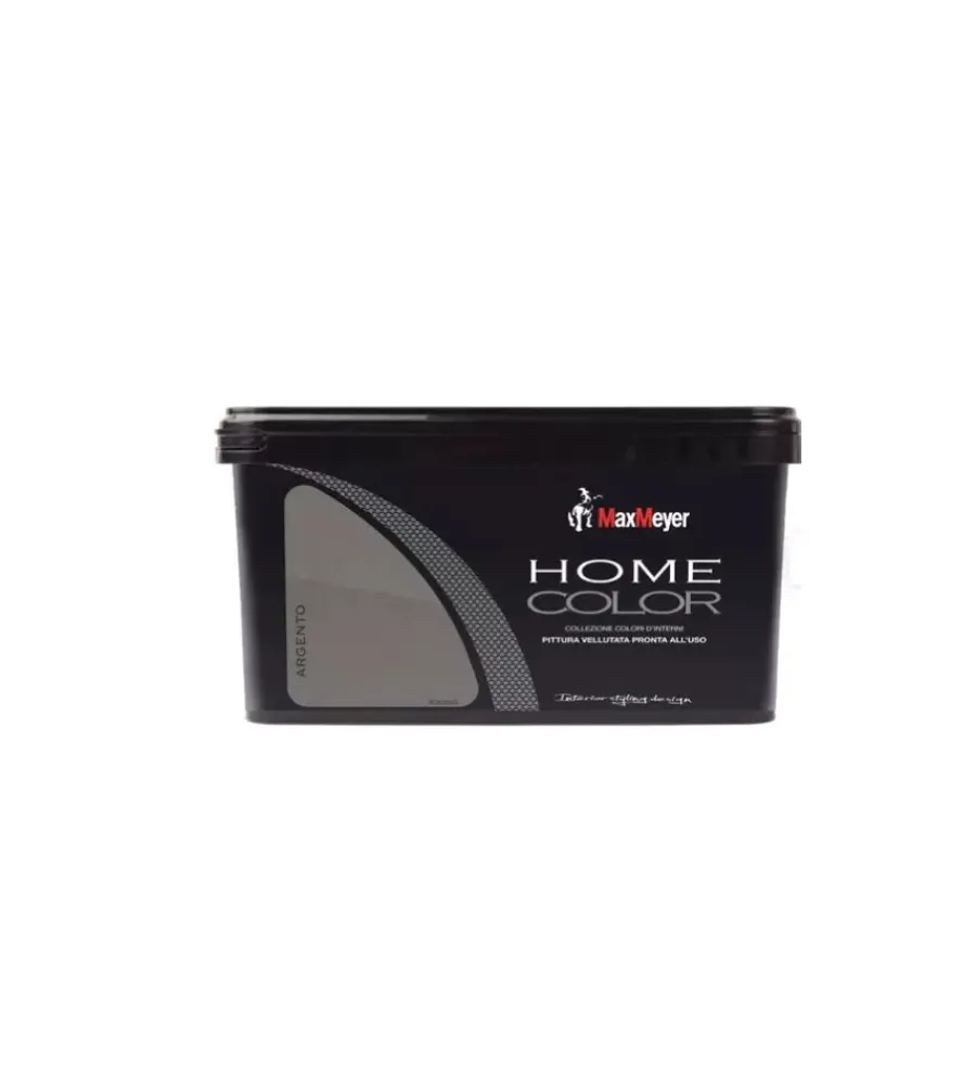 Pitture Colorate Pronte All'Uso- Idropittura lavabile "home color" - colore argento - 2,5 ml