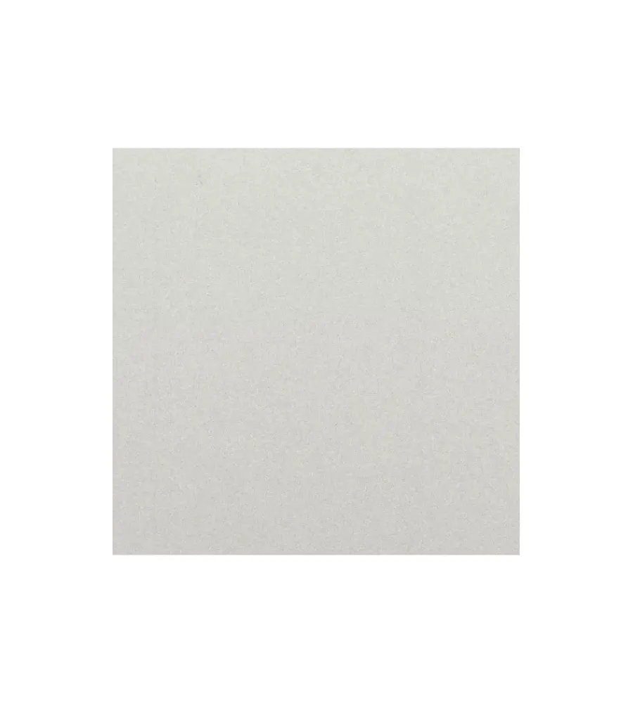 Pitture Colorate Pronte All'Uso- Idropittura lavabile "home color" - colore argento - 2,5 ml