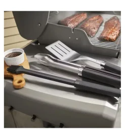 Outlet Kit 3 accessori per barbecue "precision" in acciaio Barbecue