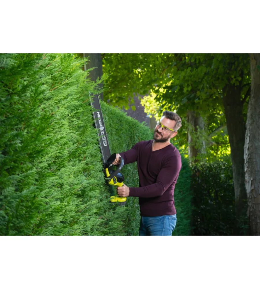 Sale Kit tagliasiepi + tagliabordi ry18lt18hta-120 18v 2ah Tagliasiepi