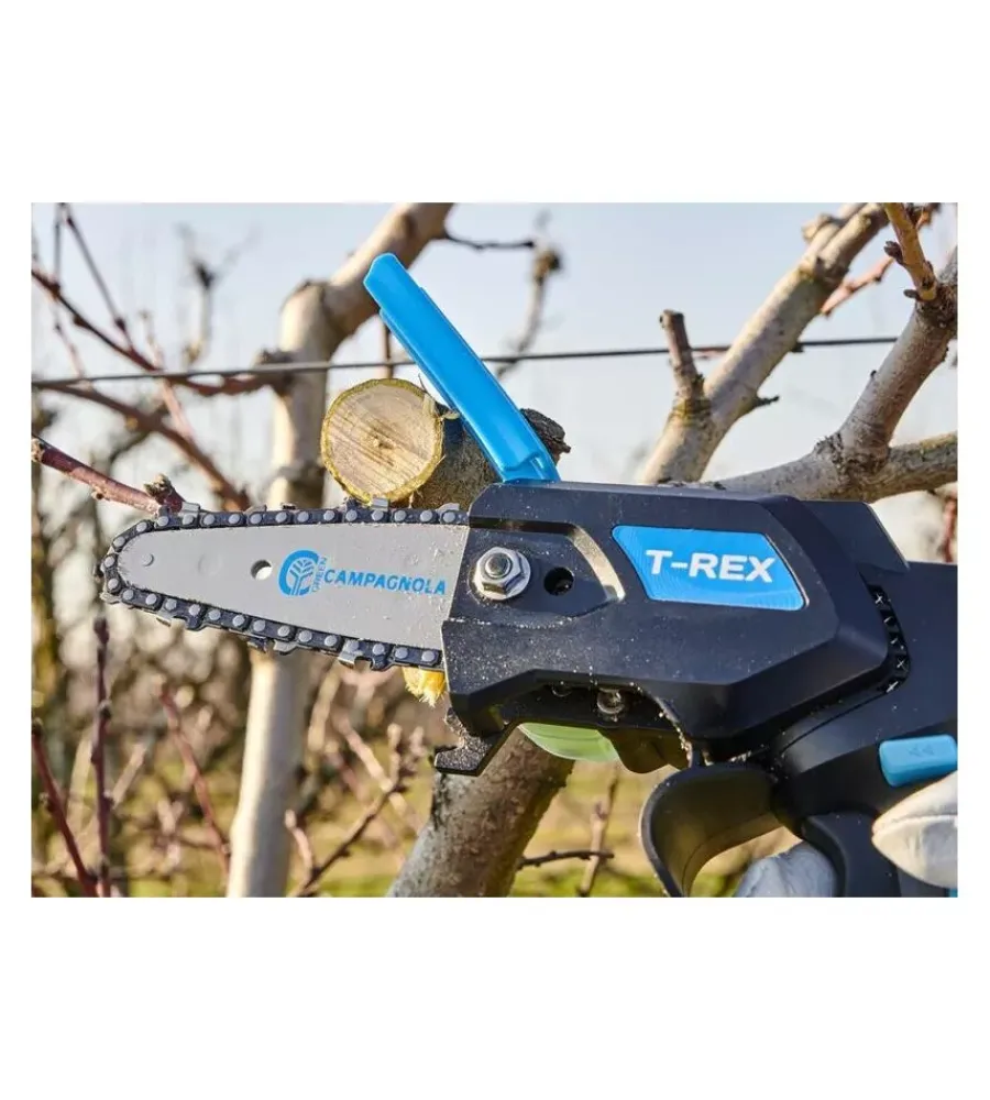 Campagnola Potatori|Kit valigetta potatore a catena a batteria "t-rex" barra 10 cm 2 batterie 21,6v 2,5ah e 4,2ah, caricabatterie tripla uscita, kit attrezzi e copri-barra
