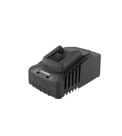 Outlet Kit valigetta trapano a percussione a batteria 60 nm 20v 2ah e caricabatterie - cod. 25855 Trapani E Avvitatori