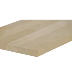 Online Lamellare di faggio non imballato spessore 19 mm - 400 x 2000 mm Tavole Lamellari Essenze