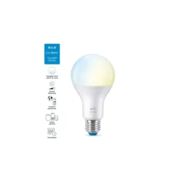 Philips Smart Led Lampadine|Lampadina smart a67, 1521 lm