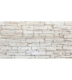 Outlet Lastra decorativa in polipropilene con stampa effetto in pietra, 100x50 cm Pannelli Plastici