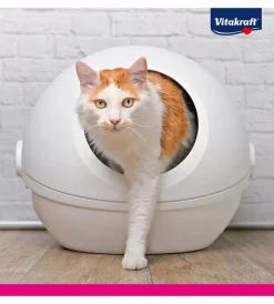 Vitakraft Lettiere E Sabbia|Lettiera sabbia gatto silicio 