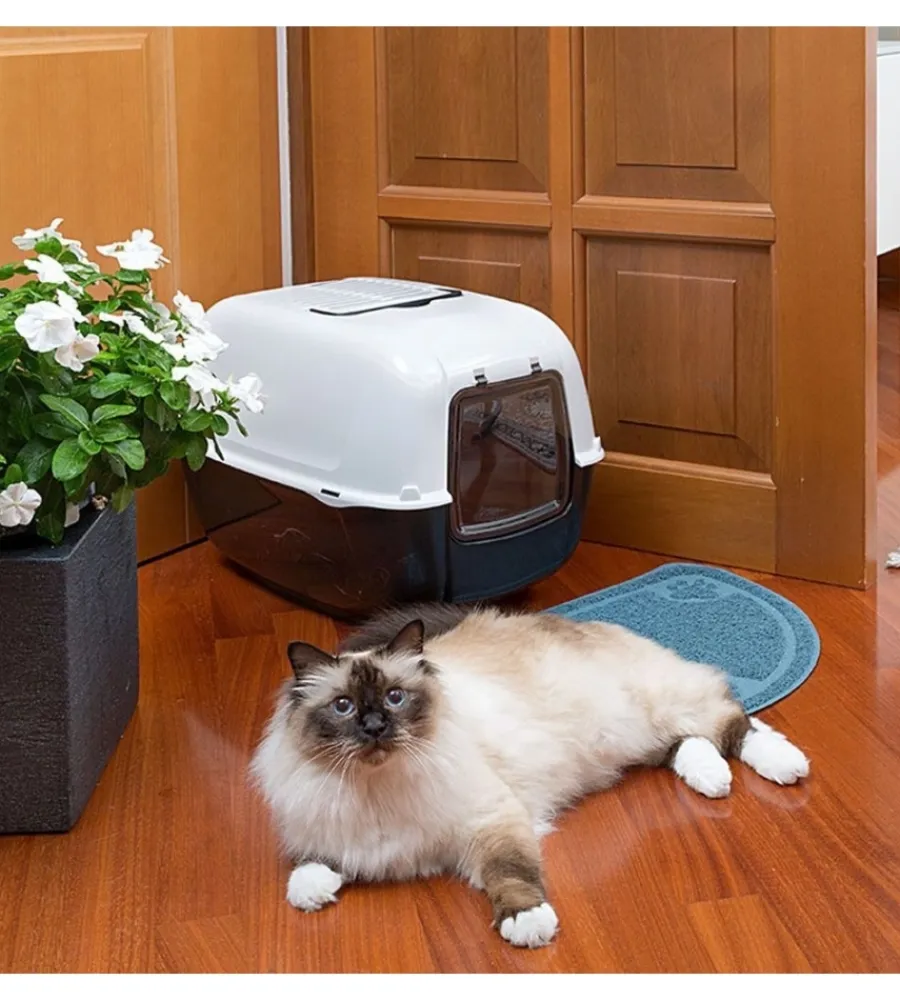 Sale Lettiera toilette gatto chiusa "prima" nero 39,5x52,5x38 cm Lettiere E Sabbia