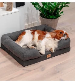 New Lettino ortopedico per cani "memor-one" tg m Cuscini E Brandine