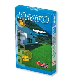 New Miscuglio rigenerativo Piante Fiori E Sementi