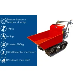 Motocarriole-Ama Motocarriola cingolata