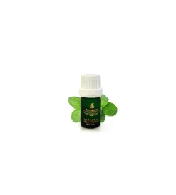 Decorazione Ambienti- Olio essenziale alla menta da 5 ml