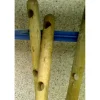 Reti, Recizioni E Cancelli Per Giardino- Palo con punta (12x150 ) con 2 fori da 7cm.