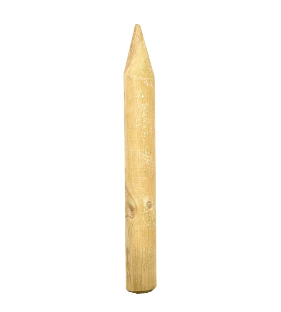 Reti, Recizioni E Cancelli Per Giardino|Palo da giardino corto con punta 6x50 cm