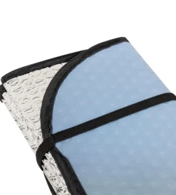 Auto Interno- Parasole anteriore 