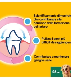 Stick-Pedigree - dentastix snack igiene orale large, 42 pz
