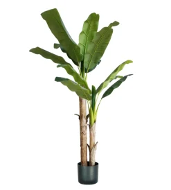 Fiori Artificiali|Pianta di banano in polietilene, 170 cm