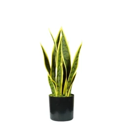 Fiori Artificiali|Pianta di sansevieria in polietilene con 12 foglie, 45 cm