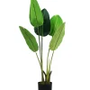 Fiori Artificiali- Pianta strelitzia in polietilene con 5 foglie, 100 cm