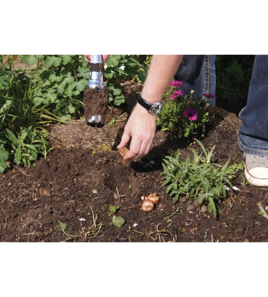 Attrezzatura Giardinaggio- Piantabulbi automatico