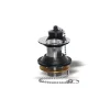Best Piletta ø 60 mm. con troppo pieno 1" Pilette