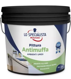 Pitture Murali- Pittura antimuffa 10 lt. bianco
