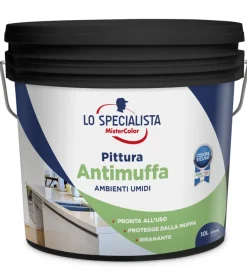 Pitture Murali- Pittura antimuffa 10 lt. bianco