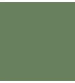 Antimuffa-Max Meyer Pittura guaina antialga plus verde 4 lt