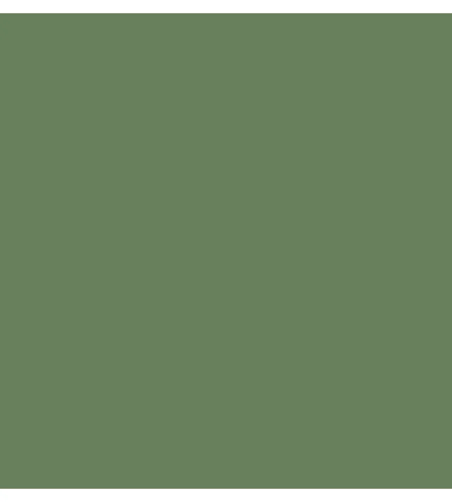 Antimuffa-Max Meyer Pittura guaina antialga plus verde 4 lt