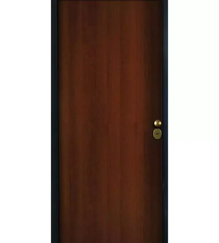 Porte, Scale E Pavimenti- Portoncino blindato colore tanganica con apertura a sinistra, 90x210 cm