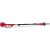 Potatori-Blue Bird Potatore a batteria con asta telescopica  r3s -