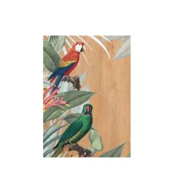 Clearance Quadro in legno "red & green parrot", 47x67 cm Decorazione Pareti