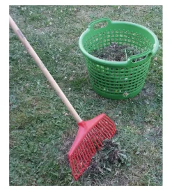 Hot Rastrello per foglie in plastica con manico in legno Attrezzatura Giardinaggio