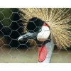 Verdemax Attrezzatura Giardinaggio|Rete esagonale metallica galvanex 19