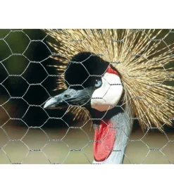 Verdemax Attrezzatura Giardinaggio|Rete esagonale metallica galvanex 19