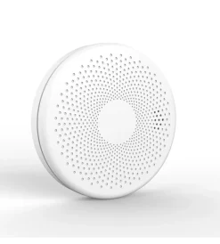 Outlet Rilevatore di monossido di carbonio e fumo "smart tuya" con controllo wi-fi Allarmi