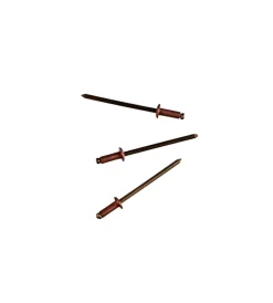 Rivettatrici E Rivetti- Rivetti ciechi in rame ø 3,2 x 6 mm. 50 pz.