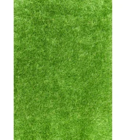 Attrezzatura Giardinaggio-Ryobi Rullo per prato sintetico 