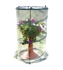 Verdemax Coltivazione E Cura|Serra per pianta "anthurium pop-up" 70x110 cm