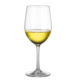 Brunner Campeggio|Set 2 bicchieri per vino "white wineglass" in policarbonato 30 cl