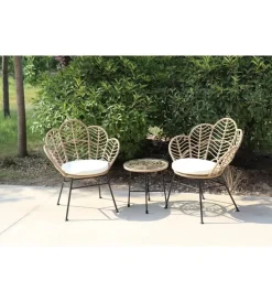 Mobili Da Giardino E Accessori- Set da esterno essenza "fiji" in acciaio e polyrattan, 2 sedute